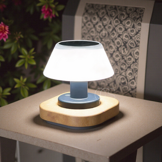 Udendørs LED Bordlampe